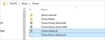 How to Reset iTunes Library on Windows