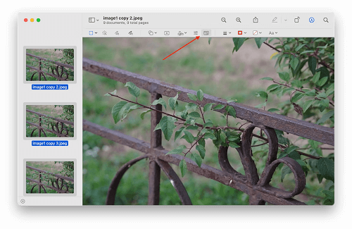 Resize An Image on Mac with Preview