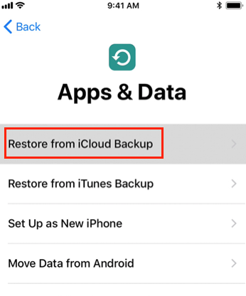 Choose Restore from iCloud Backup