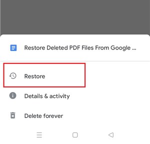 Recover the Deleted PDF Files from Trash