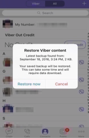 How to Backup and Restore Viber – Restore Screen