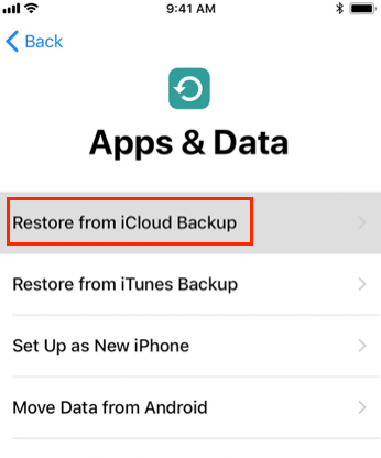 Restore Deleted iPhone XR Texts from an iCloud Backup - Step 2