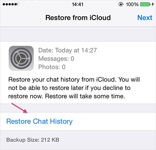 [2 Methods] How to Retrieve Deleted WhatsApp Messages from iCloud