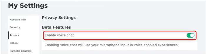 Turn On Enable Voice Chat