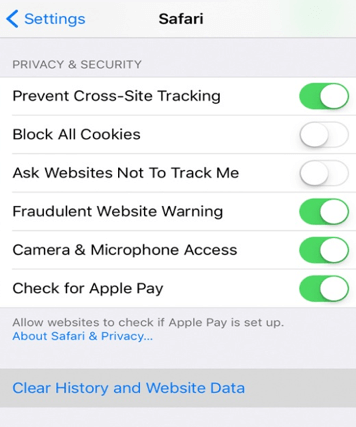 8 Tips To Fix Safari Cannot Find Server On Iphone Imobie