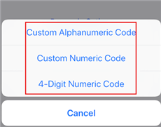 Select 4-Digit Numeric Code