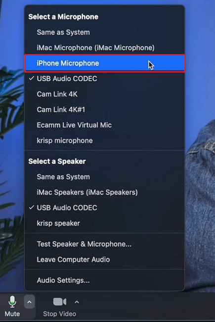 Select the iPhone microphone from the settings