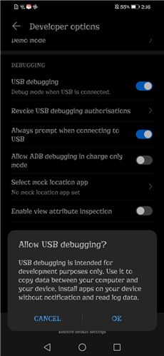 Select the USB Debugging Option
