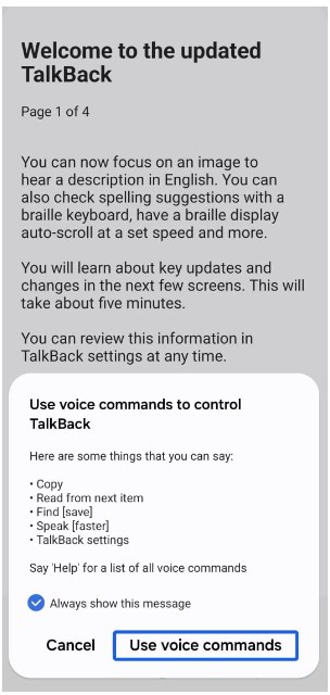 Select Use Voice Commands