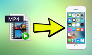 How to Set Up and Activate New iPhone 6/7/8/X/XS (Max)/XR Correctly