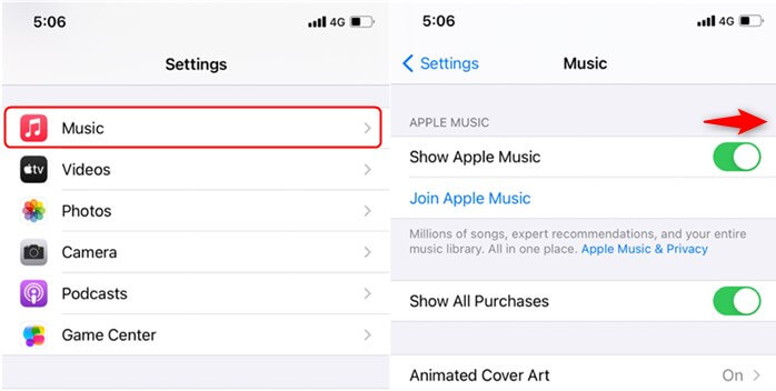 Make Sure Show Apple Music is Turned on
