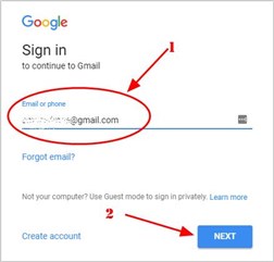 Enter the Gmail ID