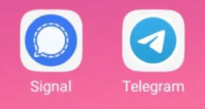 Signal Vs. Telegram