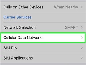 Tap on the Cellular Data Network Option