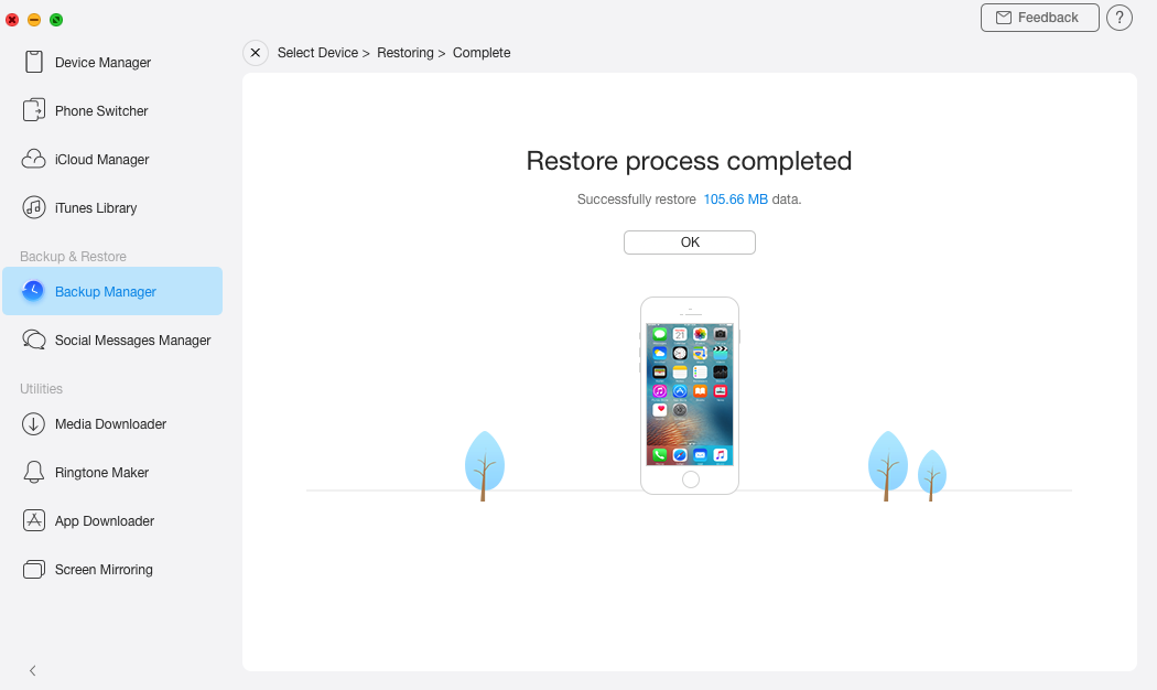 Backup Fully Restored on the iPhone