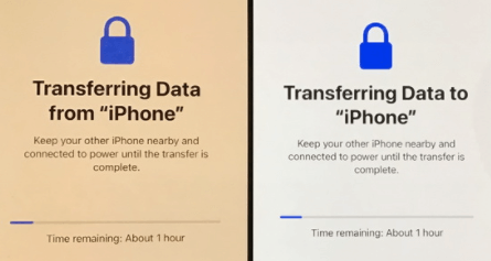 Transfer iPhone Data