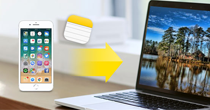 How to Transfer iPhone Photos to Computer? 5 Ways