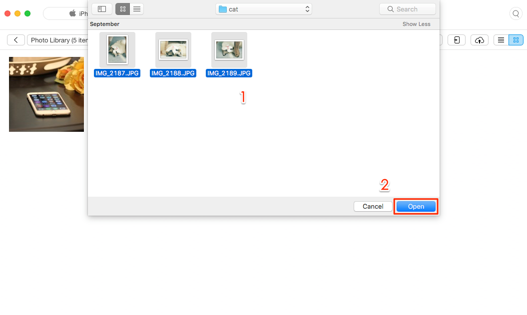 Transfer Photos from Computer to iPhone 7 with AnyTrans – Step 3