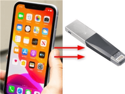 Krage udledning en lille How to Transfer Files from iPhone/iPad to Flash Drive [2023]