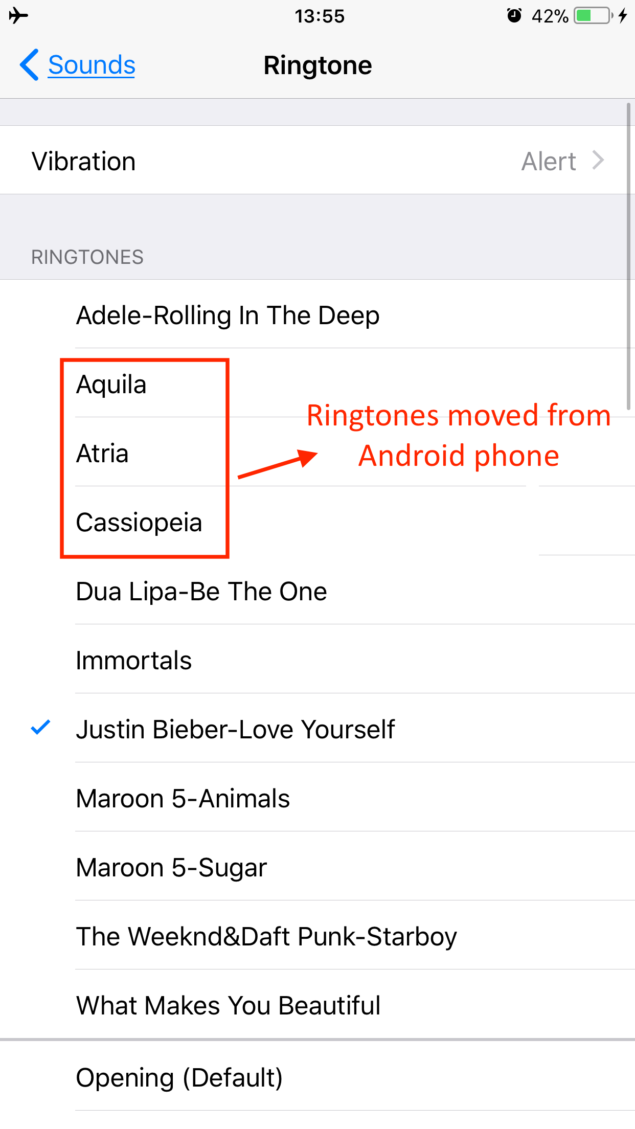 Check Transferred Ringtones on iPhone X/8