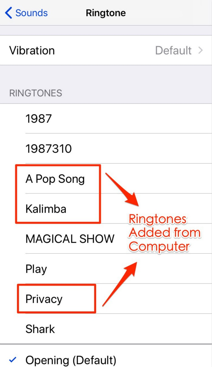 Check the Transferred Ringtones