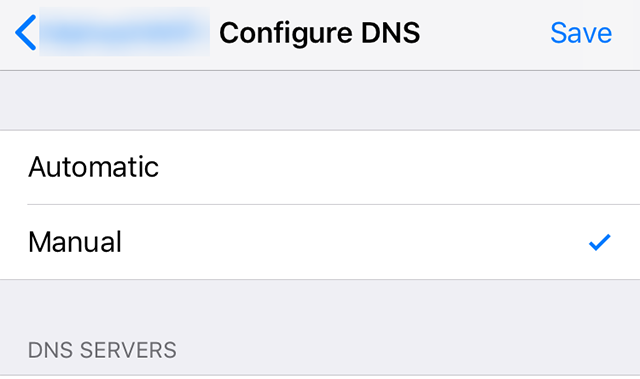 Enter custom DNS on iPhone
