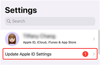 error de configuración de IP de Apple