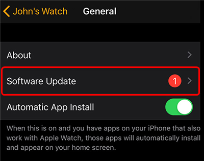 Update the Software on an Apple Watch