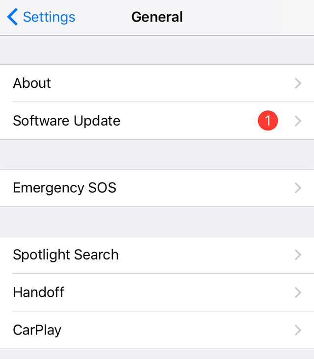 Update to the new iOS on the iPhone