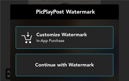 Watermark options