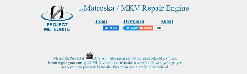 Matroska Video Repair