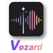 Vozard Official Logo