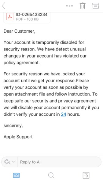 What Do People Do with Stolen iPhones - Fake Email
