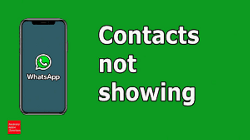 Are Your WhatsApp Contacts Not Showing?
