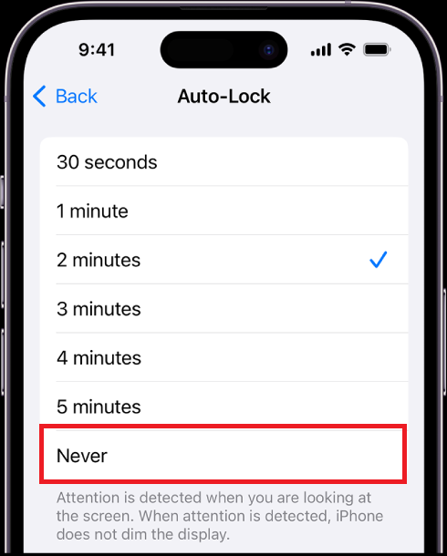 Selecciona Nunca en Bloqueo automático - Cómo quitar el bloqueo automático del iPhone