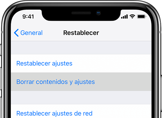 Restablecer iPad vía borrar iPad