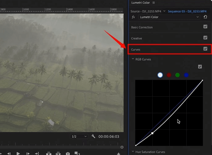 Colorea el vídeo usando las curvas