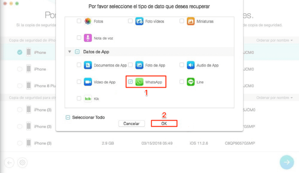 Recuperar selectivamente chats borrados de WhatsApp con iTunes /iCloud copia – Paso 3