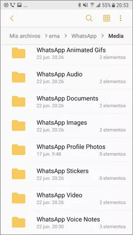 Recuperar audios borrados de WhatsApp del almacenamiento interno
