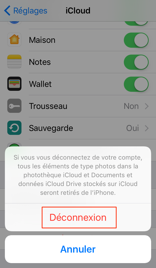 Comment supprimer un compte iCloud iPhone/iPad/iPod touch – étape 3