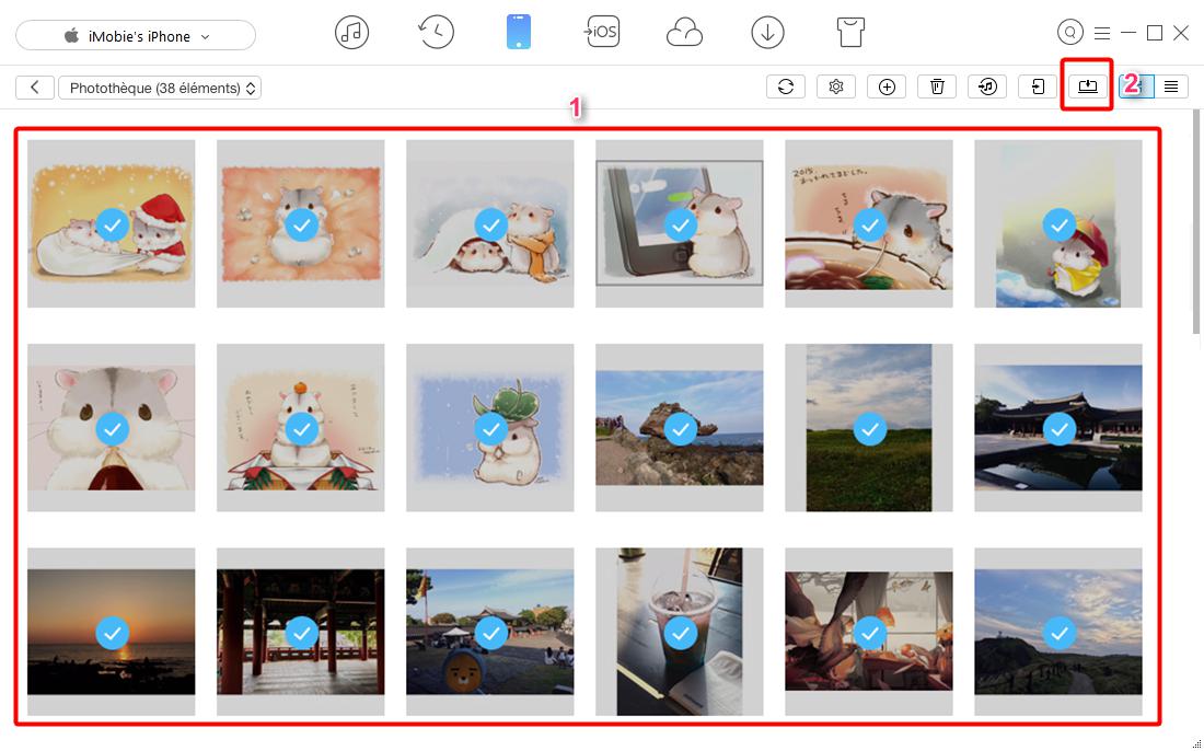 Convertir rapidement les images HEIF en JPEG sur l'ordinateur – étape 2