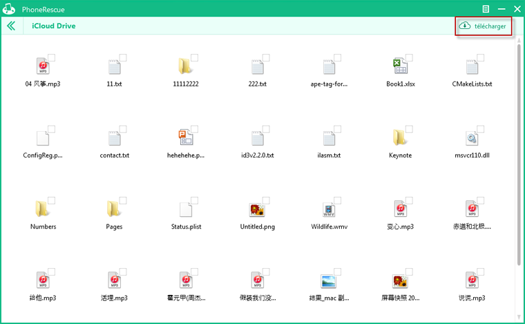 Télécharger les données depuis iCloud Drive