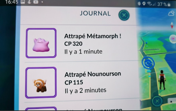 la capture récente d'un Métamorph après avoir attrapé un Nounourson