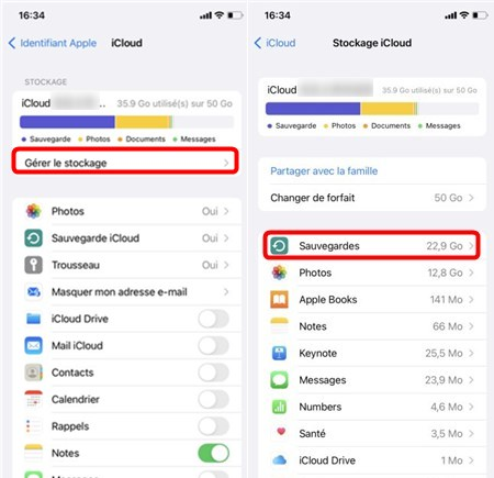 Clisuez sur Gérer le stockage puis sur Sauvegarde