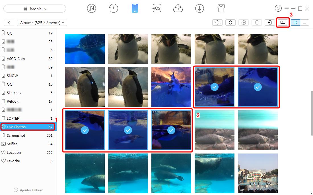 Comment convertir les Live Photos iPhone en vidéos – étape 3