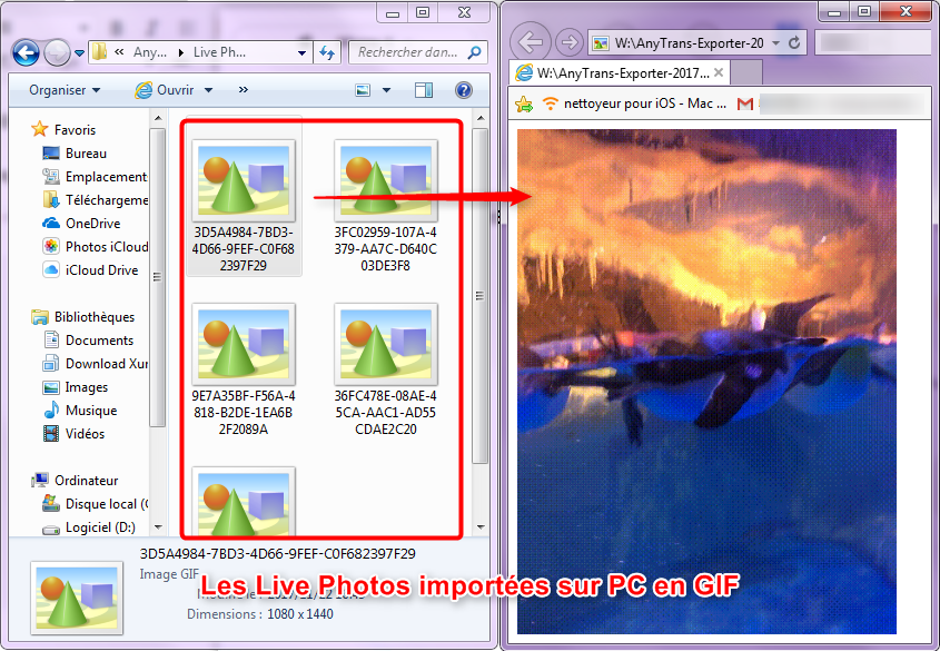 Convertir rapidement les Live Photos en GIF sur l'ordinateur - étape 5
