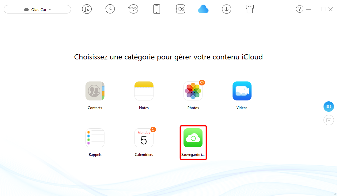 Comment voir et télécharger des SMS sur iCloud – étape 3