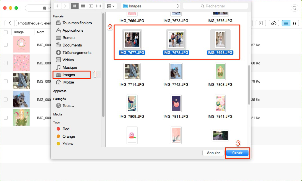 Comment mettre facilement les photos sur votre iPad – étape 3