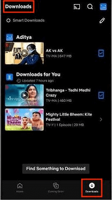 Télécharger depuis Netflix