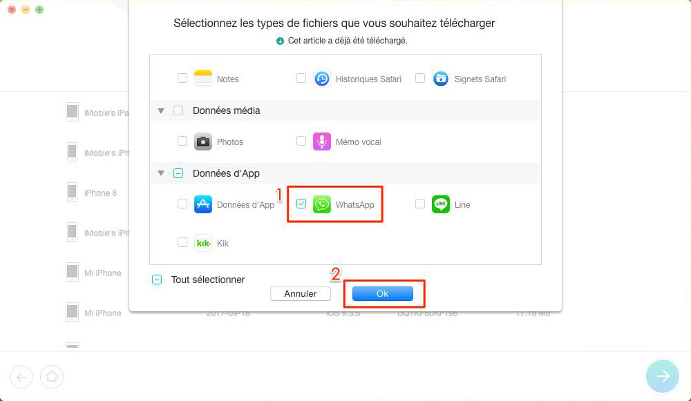 Comment récupérer les conversations de WhatsApp depuis iCloud – étape 3